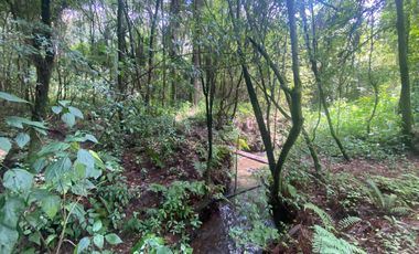 TERRENO EN VENTA CIRCUITO AVANDARO