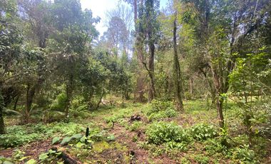TERRENO EN VENTA CIRCUITO AVANDARO