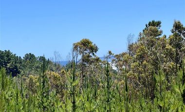 Sitio en venta en Loteo Fundo Boyeruca