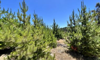 Sitio en venta en Loteo Fundo Boyeruca