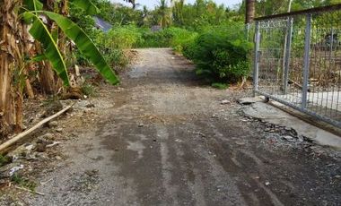 Rumah Wates konsep minimalis