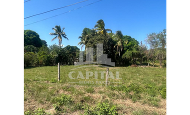SE VENDE TERRENO EN RIO HATO - ANTON