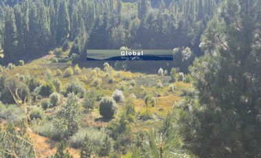 Fabulosa Fracción De 2,34 Has En Barrio Ruca Hue, San Martín De Los Andes Patagonia Argentina