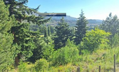 Fabulosa Fracción De 2,34 Has En Barrio Ruca Hue, San Martín De Los Andes Patagonia Argentina