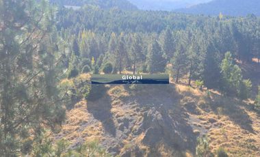 Fabulosa Fracción De 2,34 Has En Barrio Ruca Hue, San Martín De Los Andes Patagonia Argentina