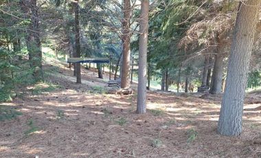 Fabulosa Fracción De 2,34 Has En Barrio Ruca Hue, San Martín De Los Andes Patagonia Argentina