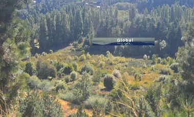 Fabulosa Fracción De 2,34 Has En Barrio Ruca Hue, San Martín De Los Andes Patagonia Argentina