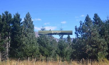 Fabulosa Fracción De 2,34 Has En Barrio Ruca Hue, San Martín De Los Andes Patagonia Argentina