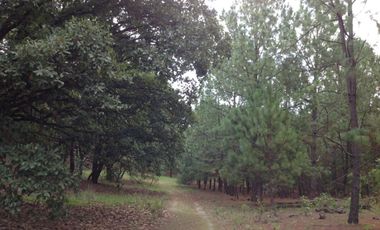 Venta  de Terreno en el Bosque de la Primavera En Jalisco Lote 1