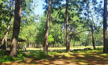Venta  de Terreno en el Bosque de la Primavera En Jalisco Lote 1