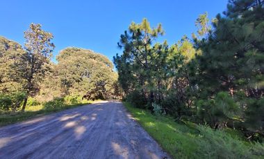 Venta  de Terreno en el Bosque de la Primavera En Jalisco Lote 1
