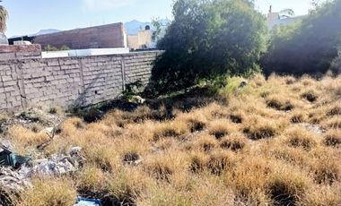 TERRENO COMERCIAL EN RENTA, COL. AMPLIACIÓN LOS ÁNGELES, TORREÓN, COAHUILA