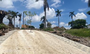 Residencial Jacarandas