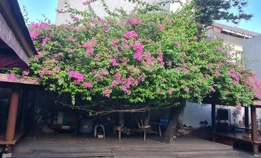 Disewa Bangunan Komersil lokasi Super Strategis di Tebet