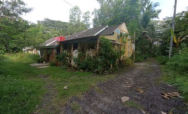 rumah wates dijual krembangan jalan jogja wates km 23