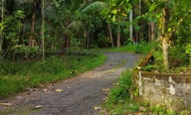 rumah wates dijual krembangan jalan jogja wates km 23