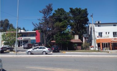 propiedad , zona comercial y multifamiliar