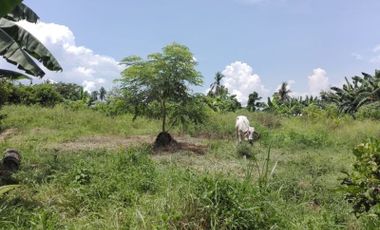 FOR SALE - Agricultural Lot in Calaca, Batangas