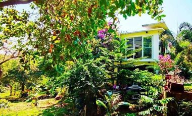 Luxury House for Sale in Anvaya Cove Bataan For Sale