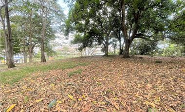 Terreno Curundu (ID 13034)