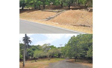 Terreno Curundu (ID 13034)