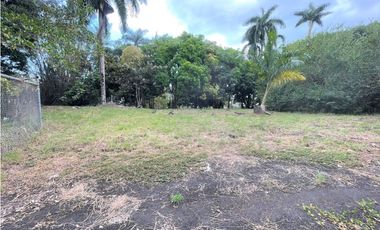 Terreno Curundu (ID 13034)