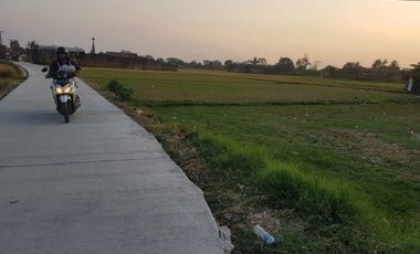 6405 M2 Tanah Sawah di Desa Bojongloa, Rancaekek, Kabupaten Bandung