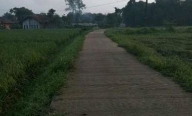6405 M2 Tanah Sawah di Desa Bojongloa, Rancaekek, Kabupaten Bandung
