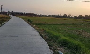6405 M2 Tanah Sawah di Desa Bojongloa, Rancaekek, Kabupaten Bandung
