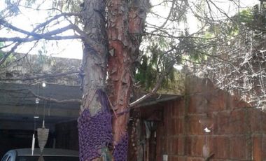 CASA DE 6 AMB. LOTE PROPIO FRANCO AL 3400 V. DEVOTO