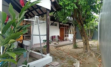 Rumah Halaman Luas di Kota Yogyakarta dekat Kampus UIN