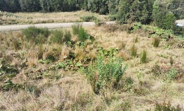 Parcela en Venta en CASTRO, CHILOÉ.