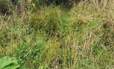 Parcela en Venta en CASTRO, CHILOÉ.