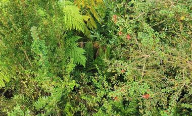 Parcela en Venta en CASTRO, CHILOÉ.