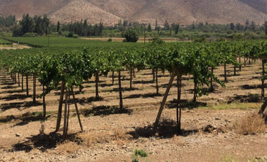 Parcela en Venta en Sector La Colonia
