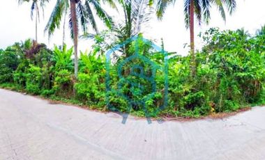 CRD # 80039 Farm Lot For Sale in Alfonso, Cavite