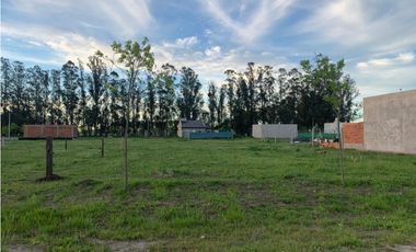 Terreno en venta! (Calle 12 e/ 43 y 45)