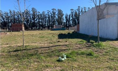 Terreno en venta! (Calle 12 e/ 43 y 45)