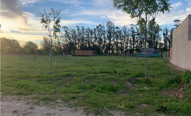 Terreno en venta! (Calle 12 e/ 43 y 45)