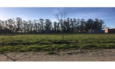 Terreno en venta! (Calle 12 e/ 43 y 45)