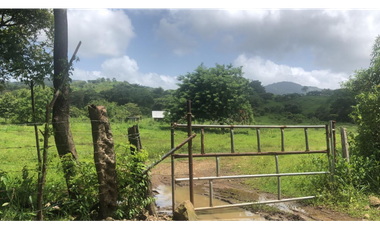 Se Vende Finca de 25 Hectáreas en La Unión de Azuero, Chepo
