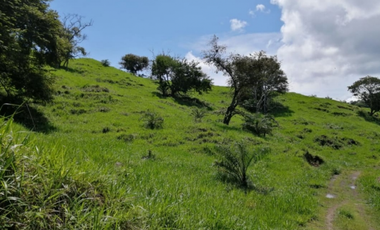 Se Vende Finca de 25 Hectáreas en La Unión de Azuero, Chepo