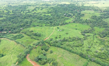 Se Vende Finca de 25 Hectáreas en La Unión de Azuero, Chepo