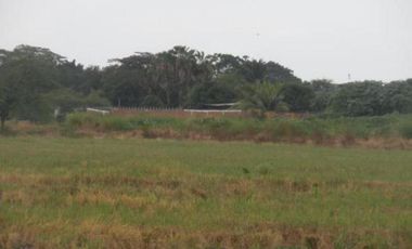 Yaguachi vendo terrenos uso industrial Sector PAN (Puente Alterno Norte) Vendo terreno de 3.5 has