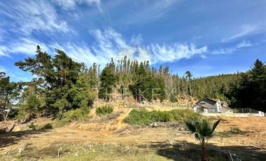 Terreno Construccion  en Venta en Camino a Santa Juana - Reserva de Mitrinhue