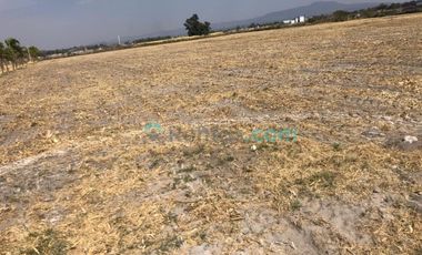 Terreno en renta en Tala, Tala Centro - Completamente amueblado