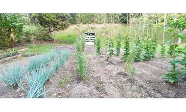 VENTA DE FINCA EN AMAG. SUROESTE ANTIOQUEÑO