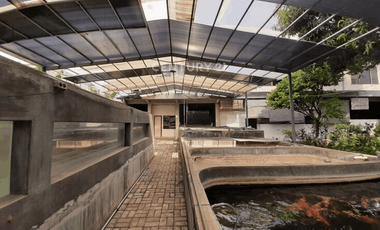 Dijual Rumah Beserta Tempat Usaha Di Jl Gajah Raya Semarang