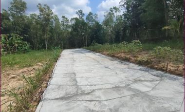 Dijual Kavling Sedayu Kawasan Perumahan, Luas 146m2: Harga Nego