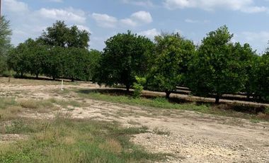 VENTA RANCHO CITRICOLA EN CADEREYTA